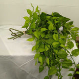 GREEN,MED-4PC,BUNCH OF STEMS