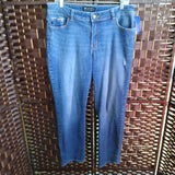 BLUE,14,MODERN SERIES JEANS