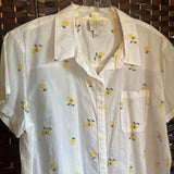 St Johns Bay,White,Large,Lemon Top