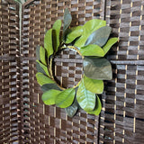 Green, Magnolia Wreath