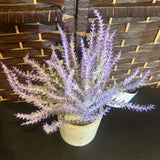 Gray+, Faux Lavender in Pot