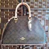 Coach,Brown, Crossbody
